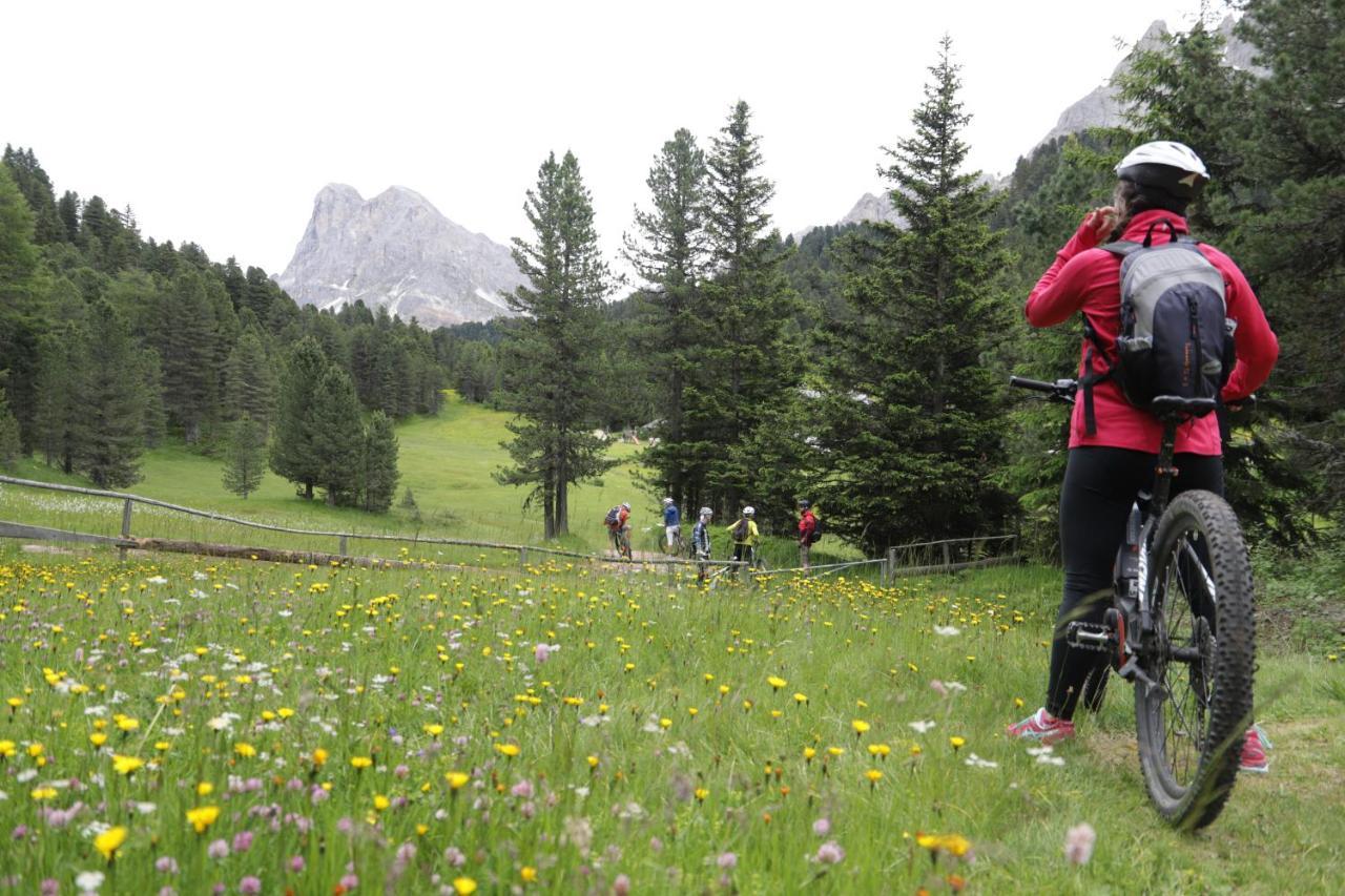 Residence Alpenrose Bressanone Kültér fotó